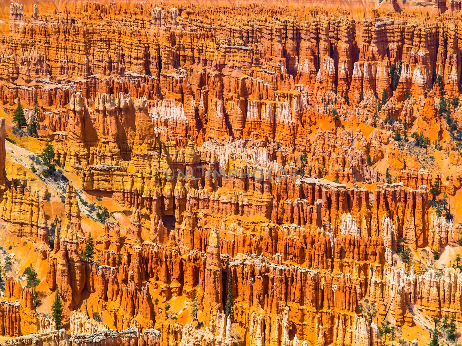 Colorful rock formations in Bryce Canyou (Utah, USA)