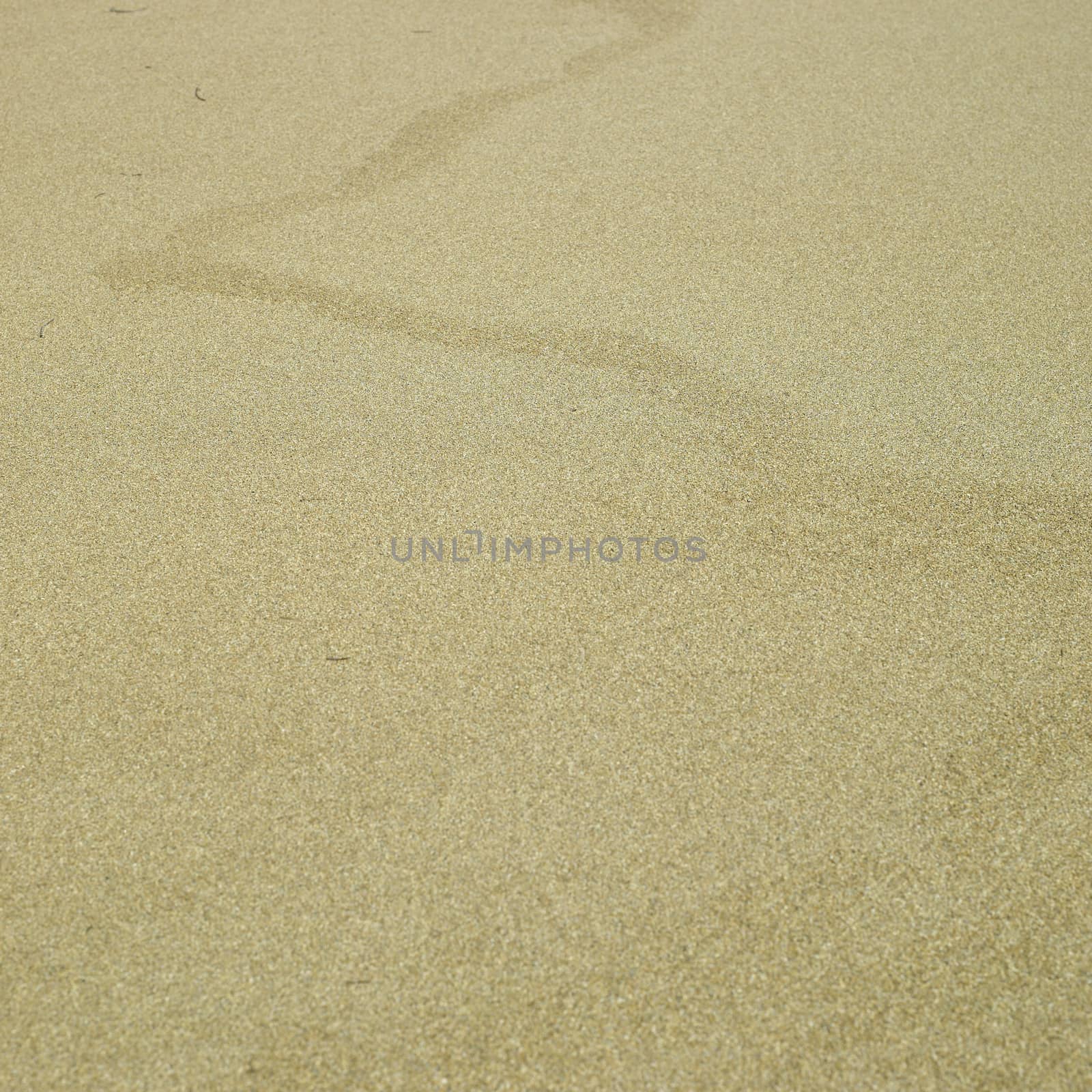 Sand beach at low tides