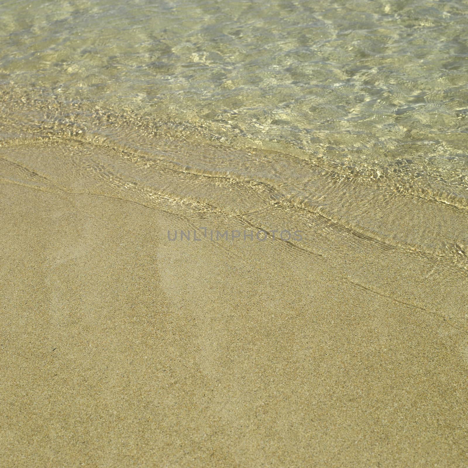 Clear ocean water on gold sand