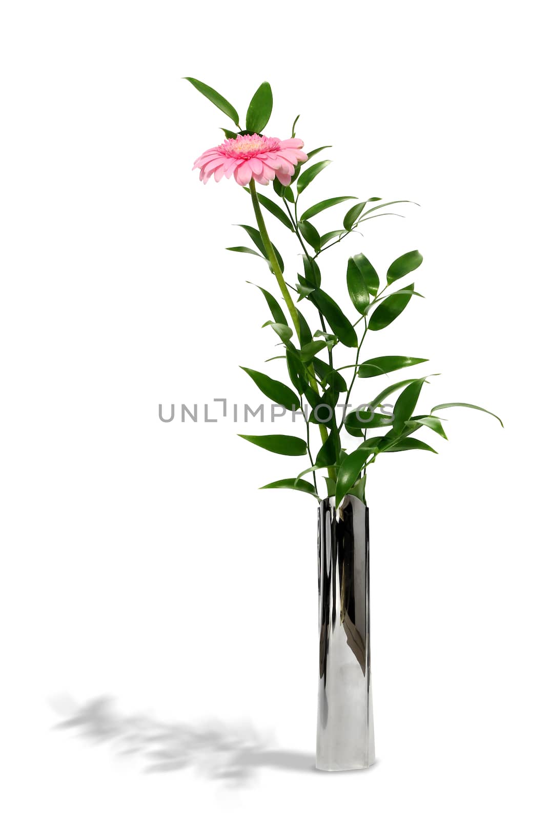 Pink gerber daisy in metal vase by anterovium
