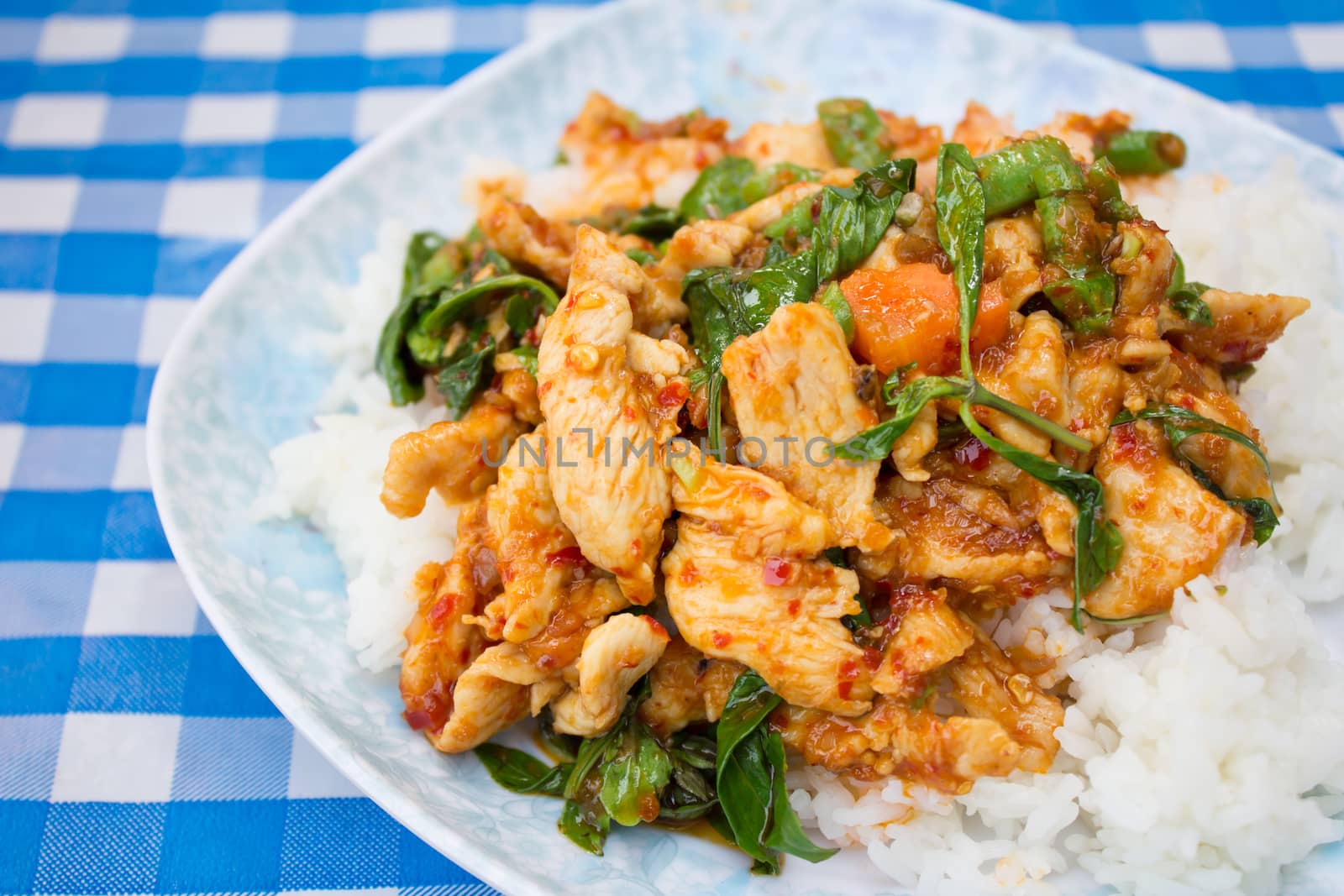 Stir fried chicken in holy basil and steamed rice