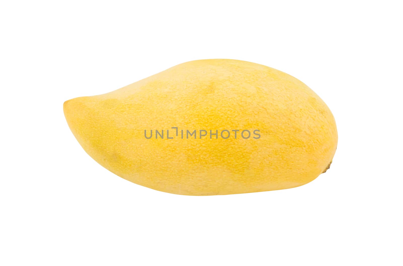Yellow mango on isolated white background