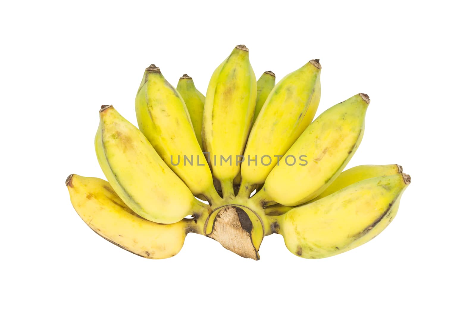 Bunch of bananas on white background by vitawin