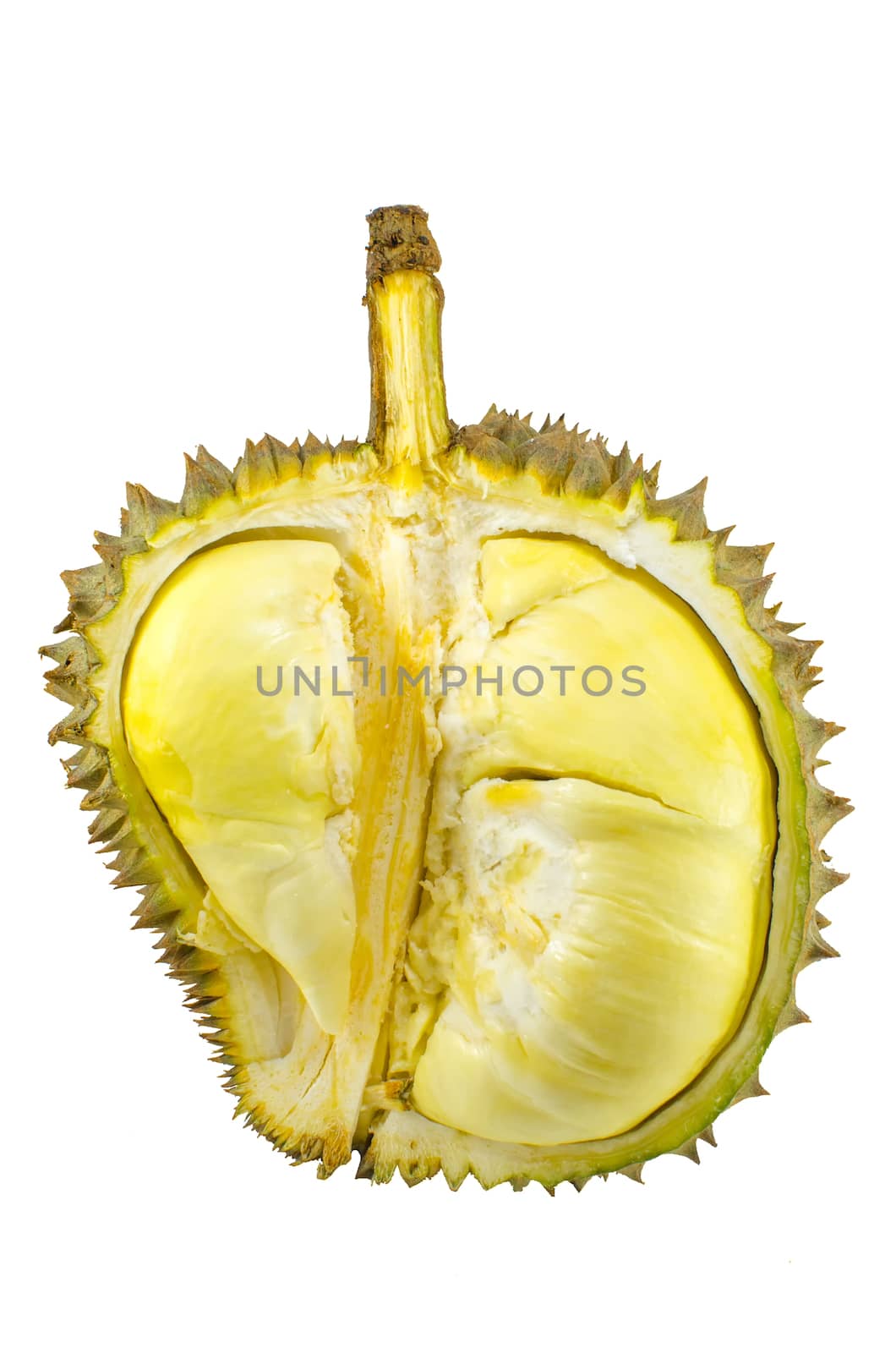 Close up of peeled durian isolated on white background by nopparats