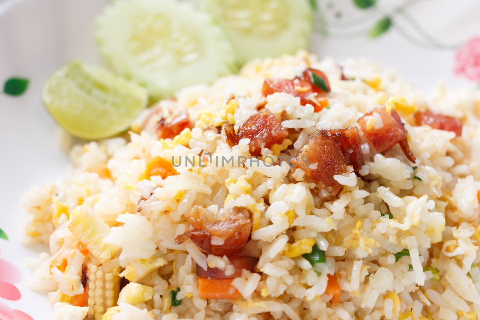 Fried Rice with Chinese Sausage by vitawin