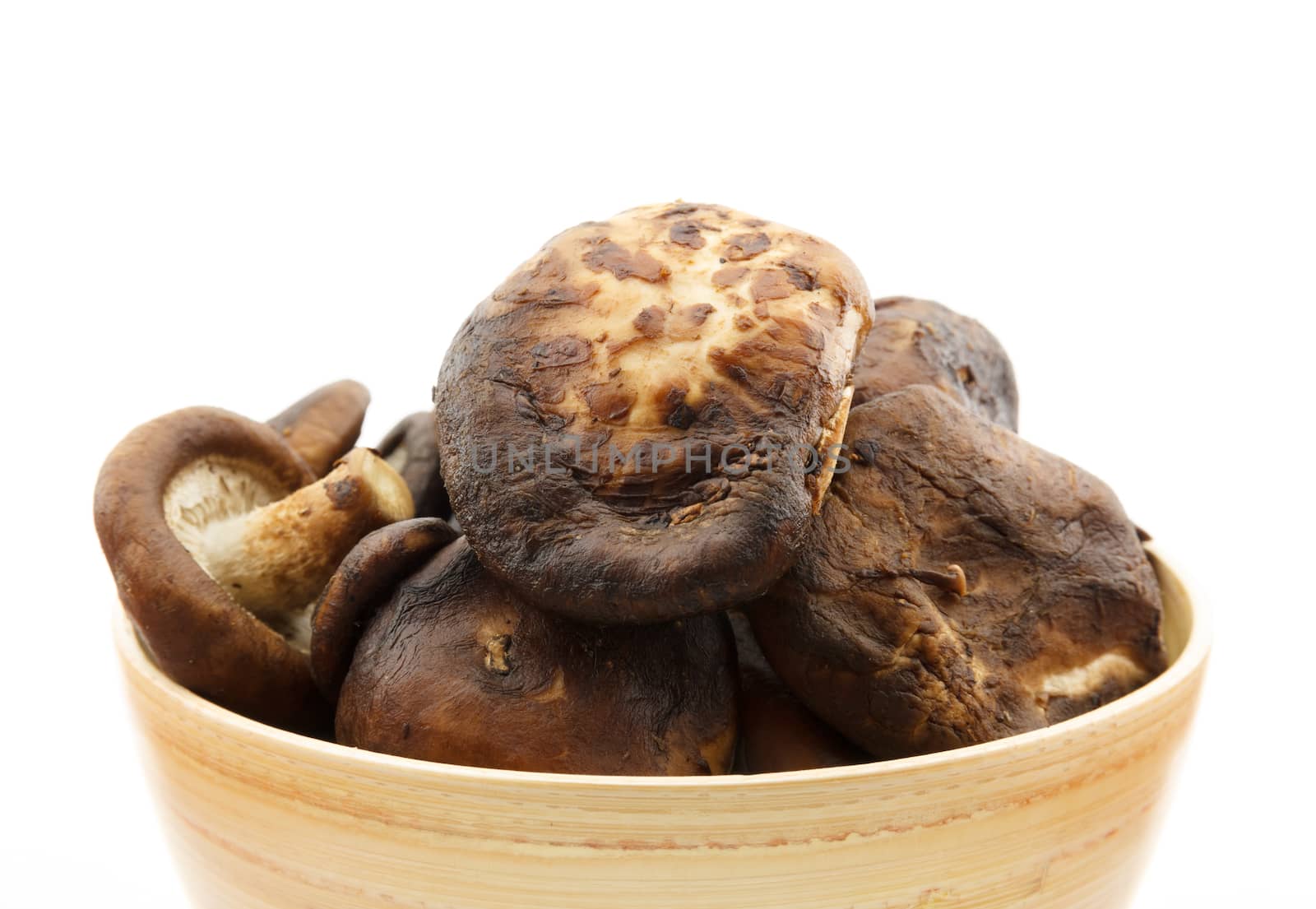 Close up shiitake mushroom on white background by vitawin