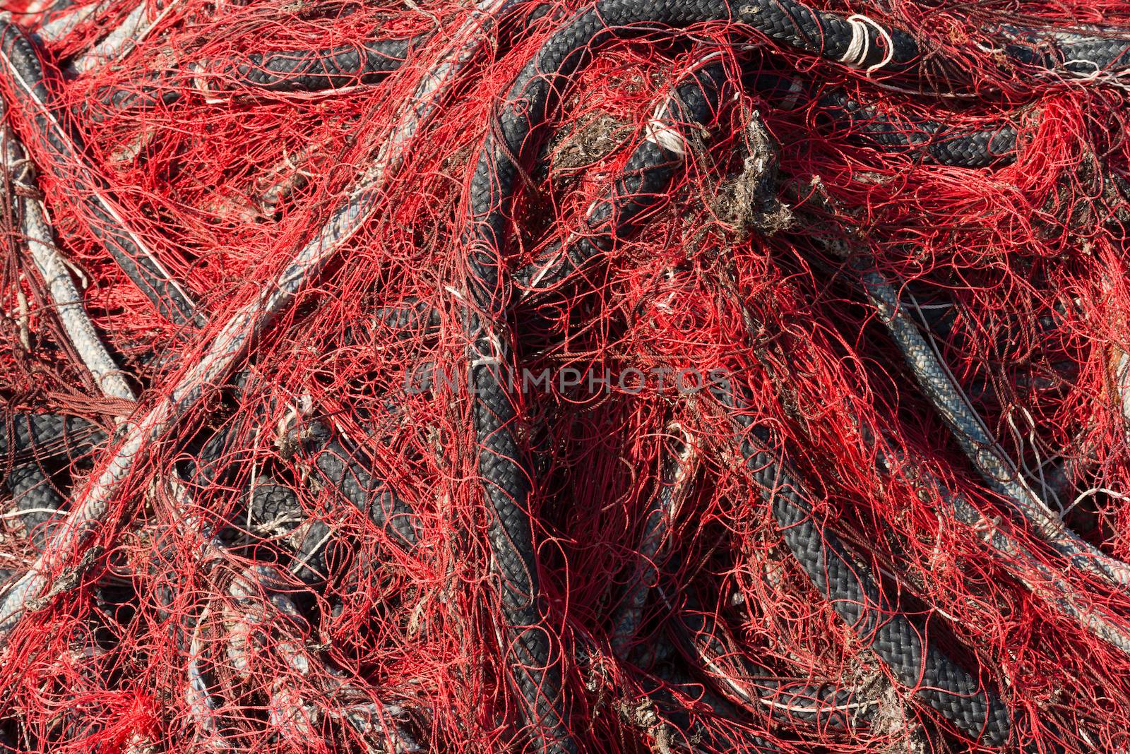 Close up of red fishing net with white and black ropes