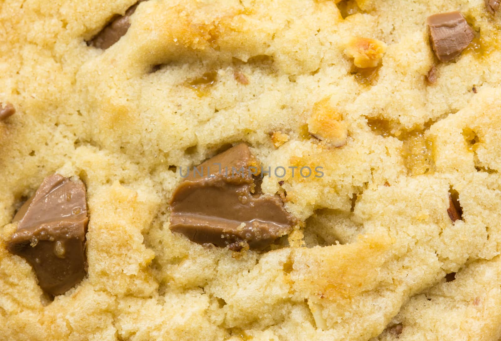 Close up chocolate chip cookie by vitawin
