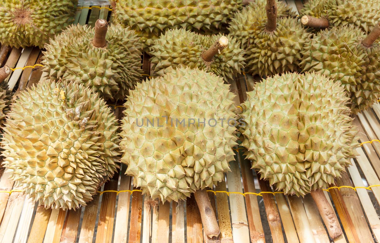 Durian fruit at thai market