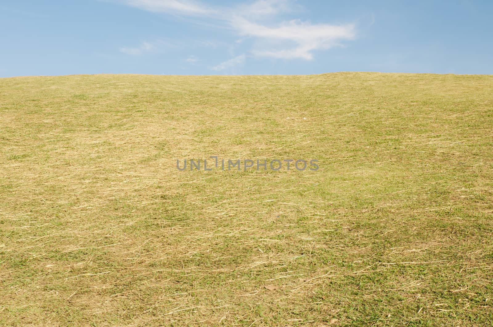 Green sloping  meadows and clouds with blue sky