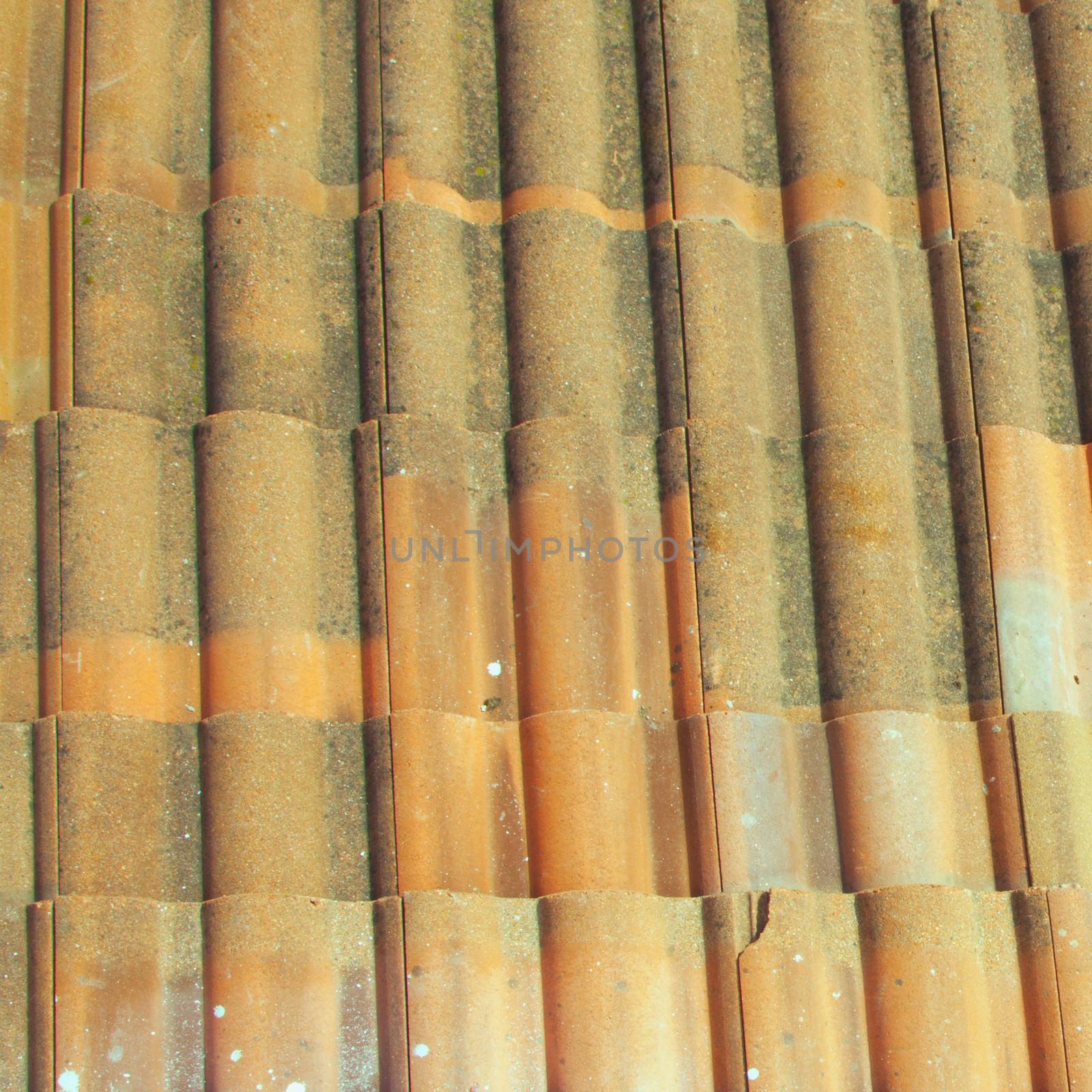 Tiles of a rooftop, seen from above