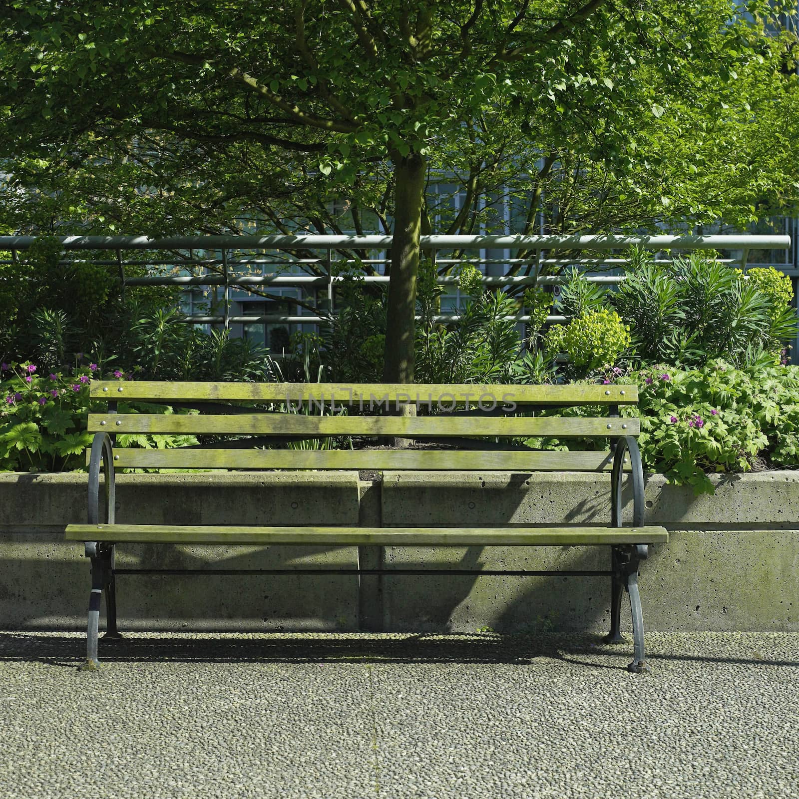 Wooden park bench in a garden