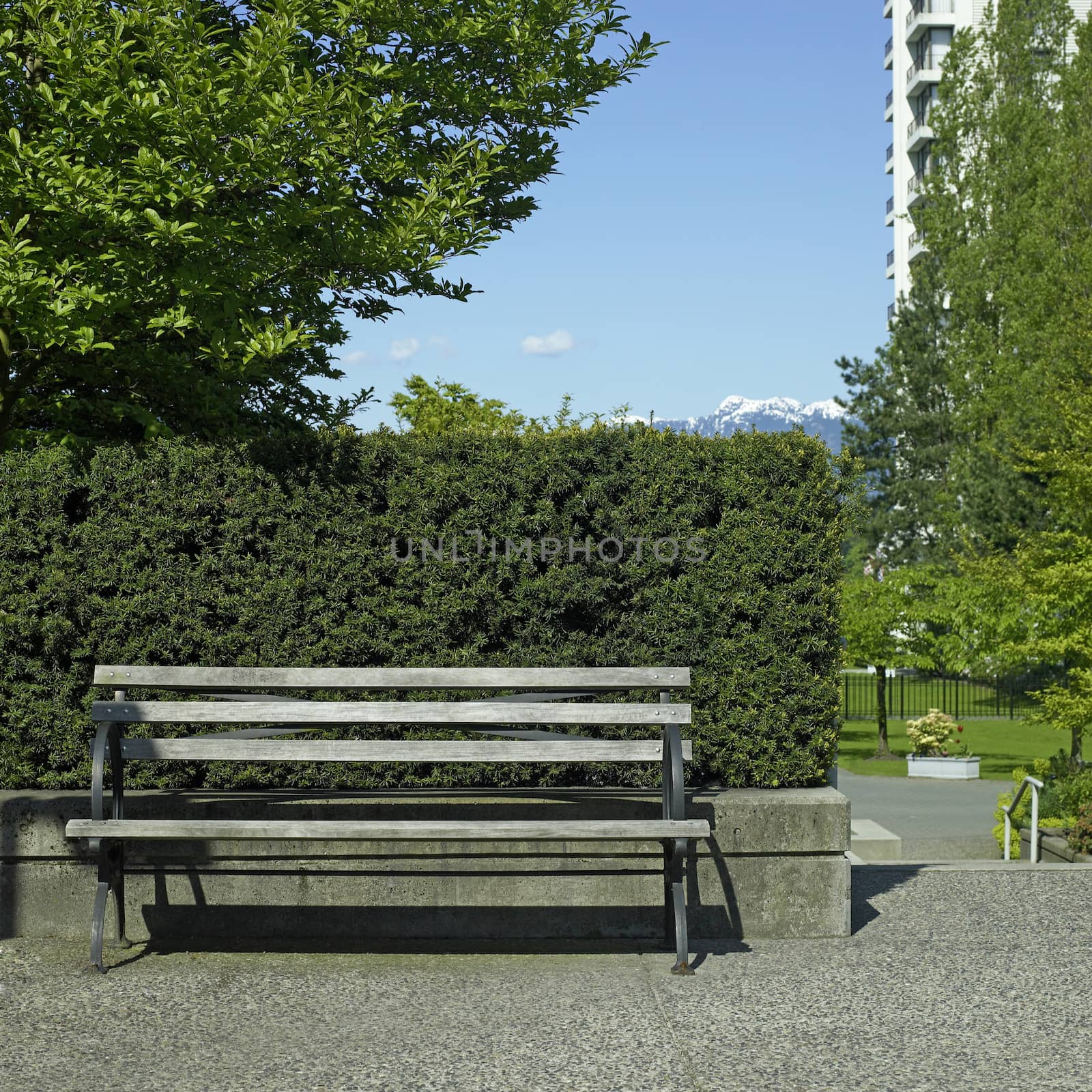 Wooden park bench in a garden
