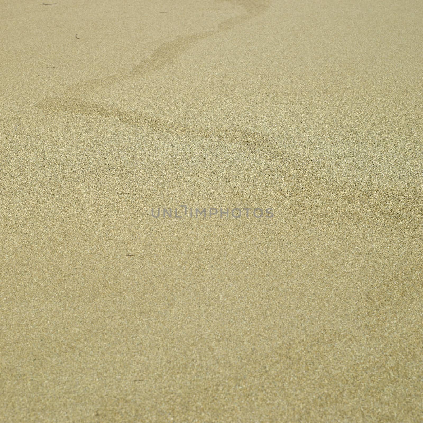 Sandy beach by mmm