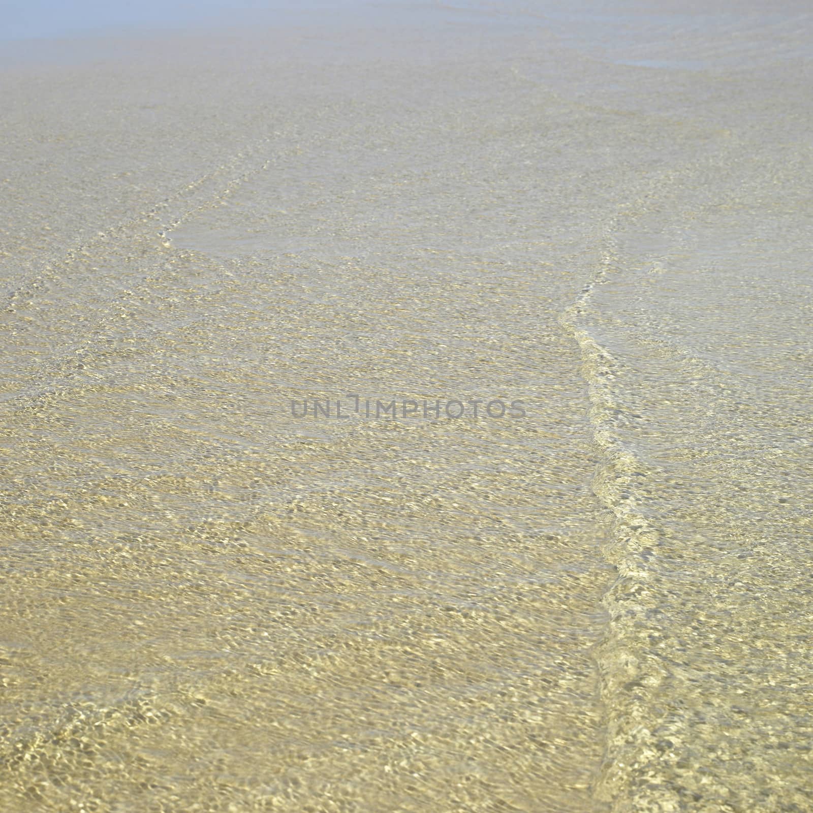 Clear ocean water on gold sand