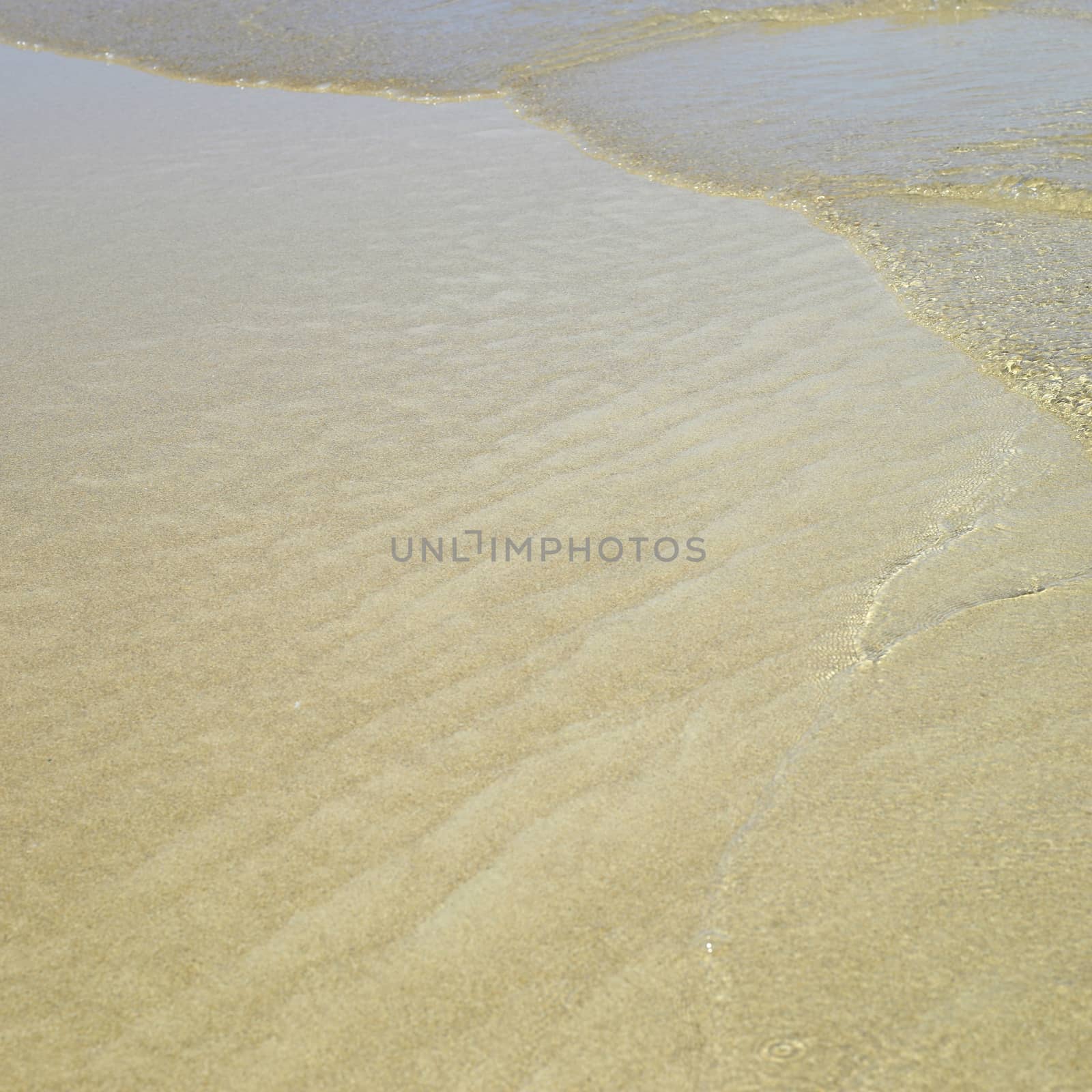 Gold sand beach at low tides