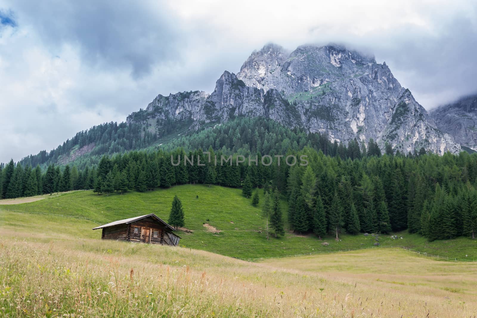 wooden house in a green meadow near mountains