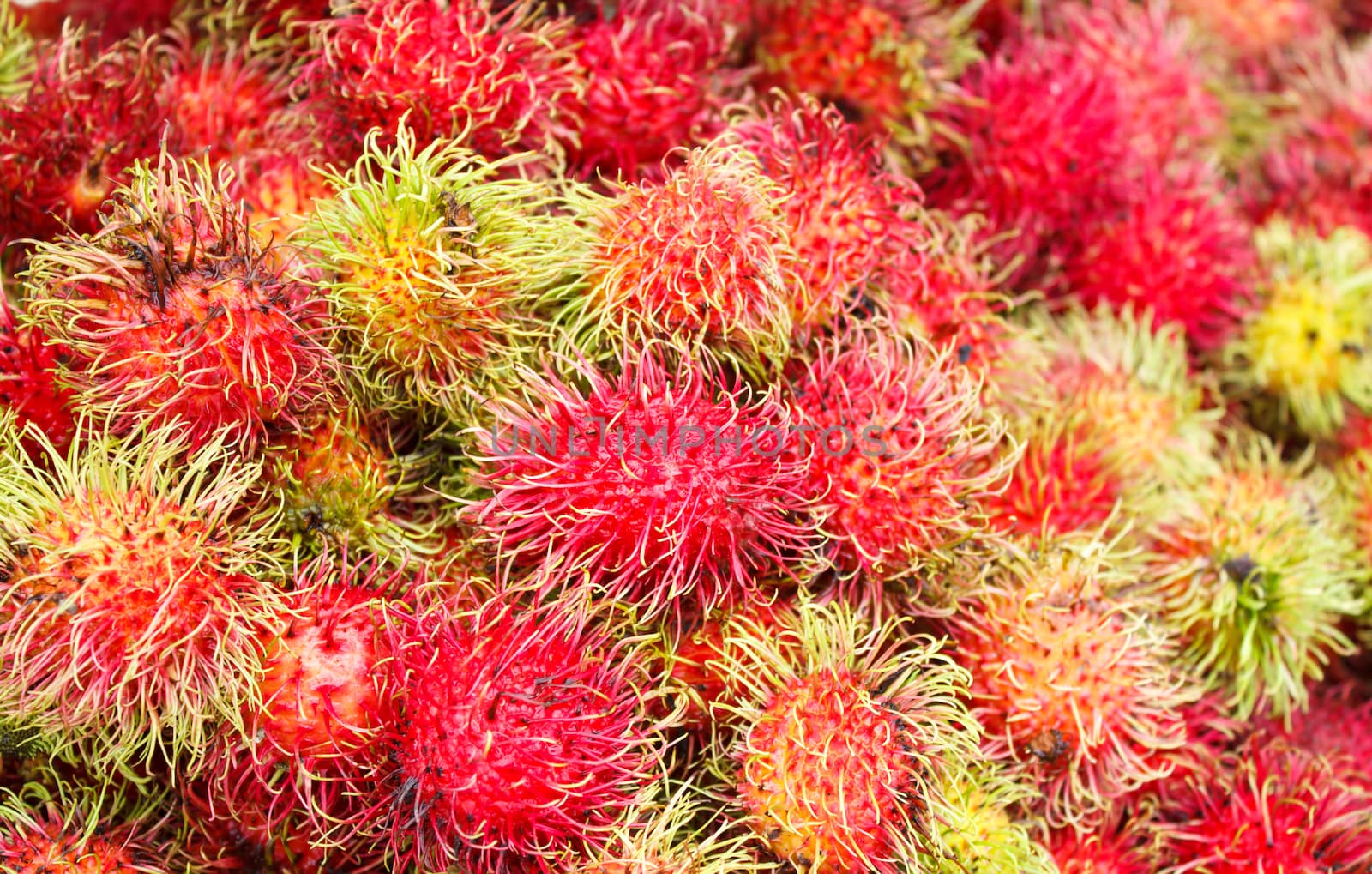 Rambutan - Tropical Fruits Rambutan