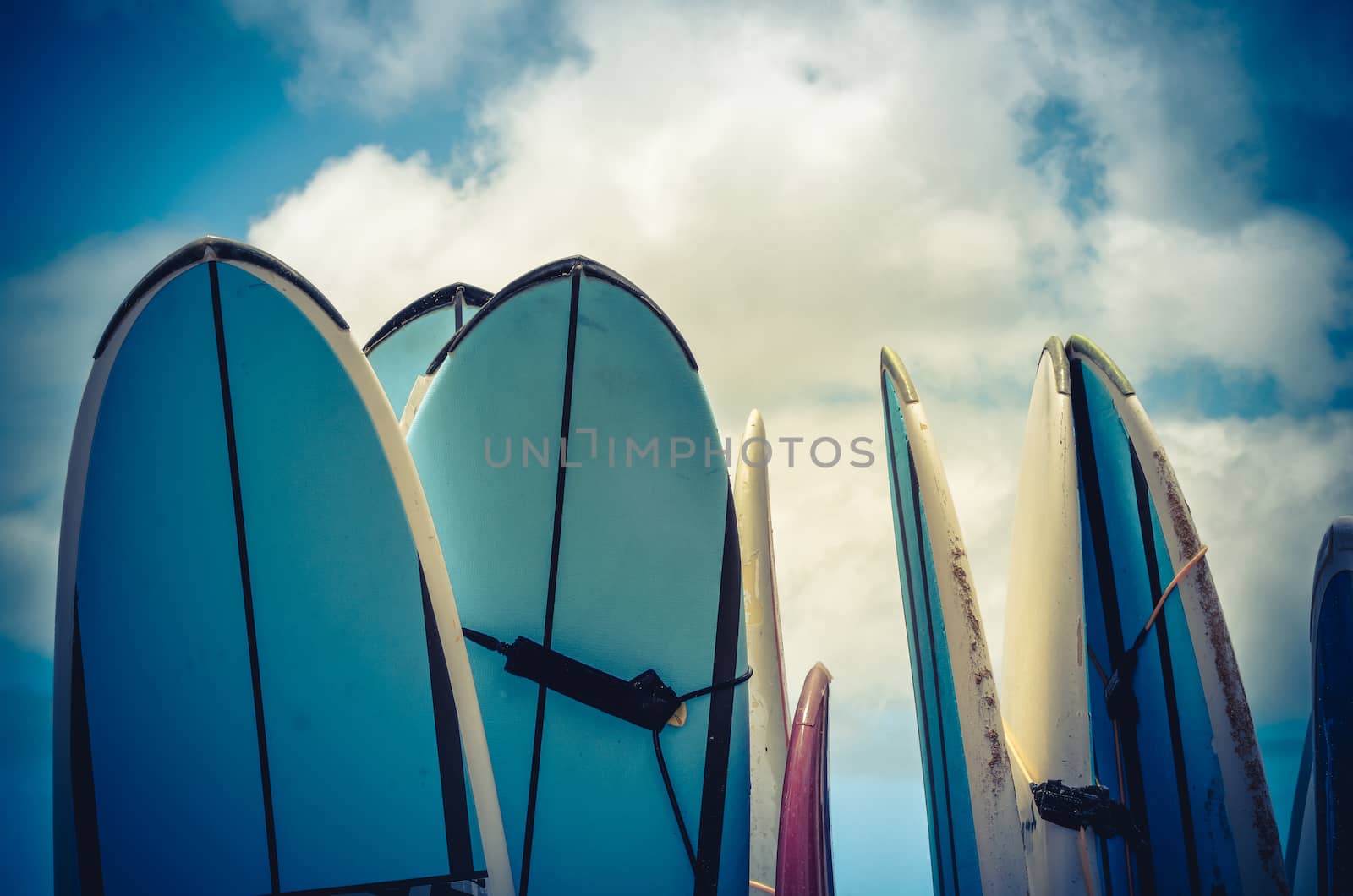 Retro Styled Vintage Surf Boards In Hawaii by mrdoomits