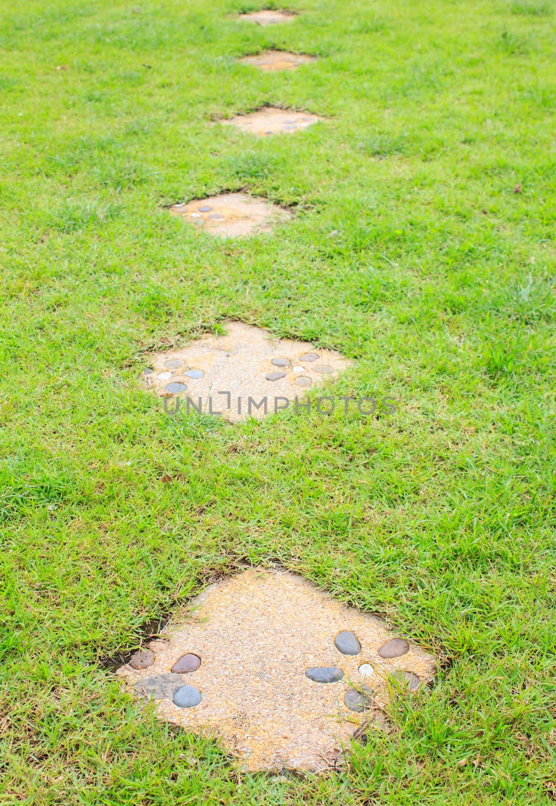 flower Pattern on Stone path into the green grass by vitawin