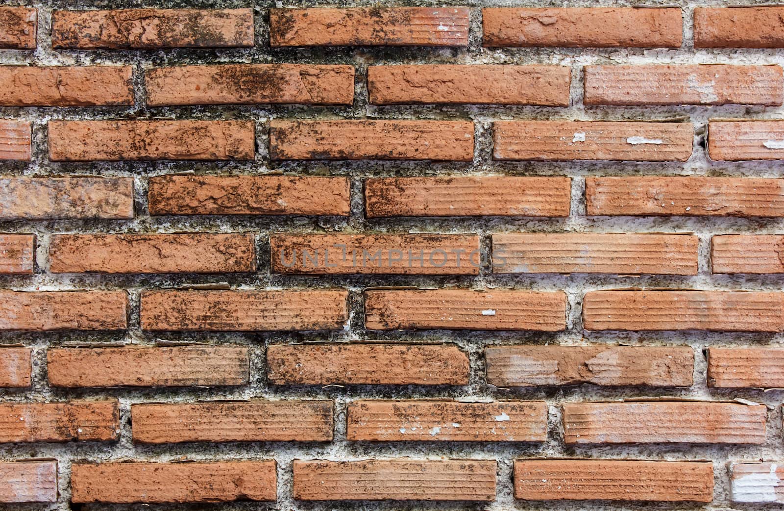 Red bricks wall background by vitawin