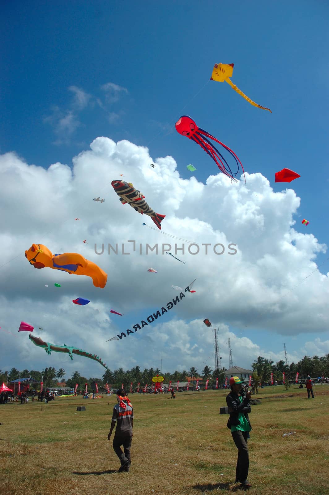 pangandaran, indonesia-july 16, 2011: pangandaran international kite festival that held in east coast pangandaran beach, west java-indonesia.