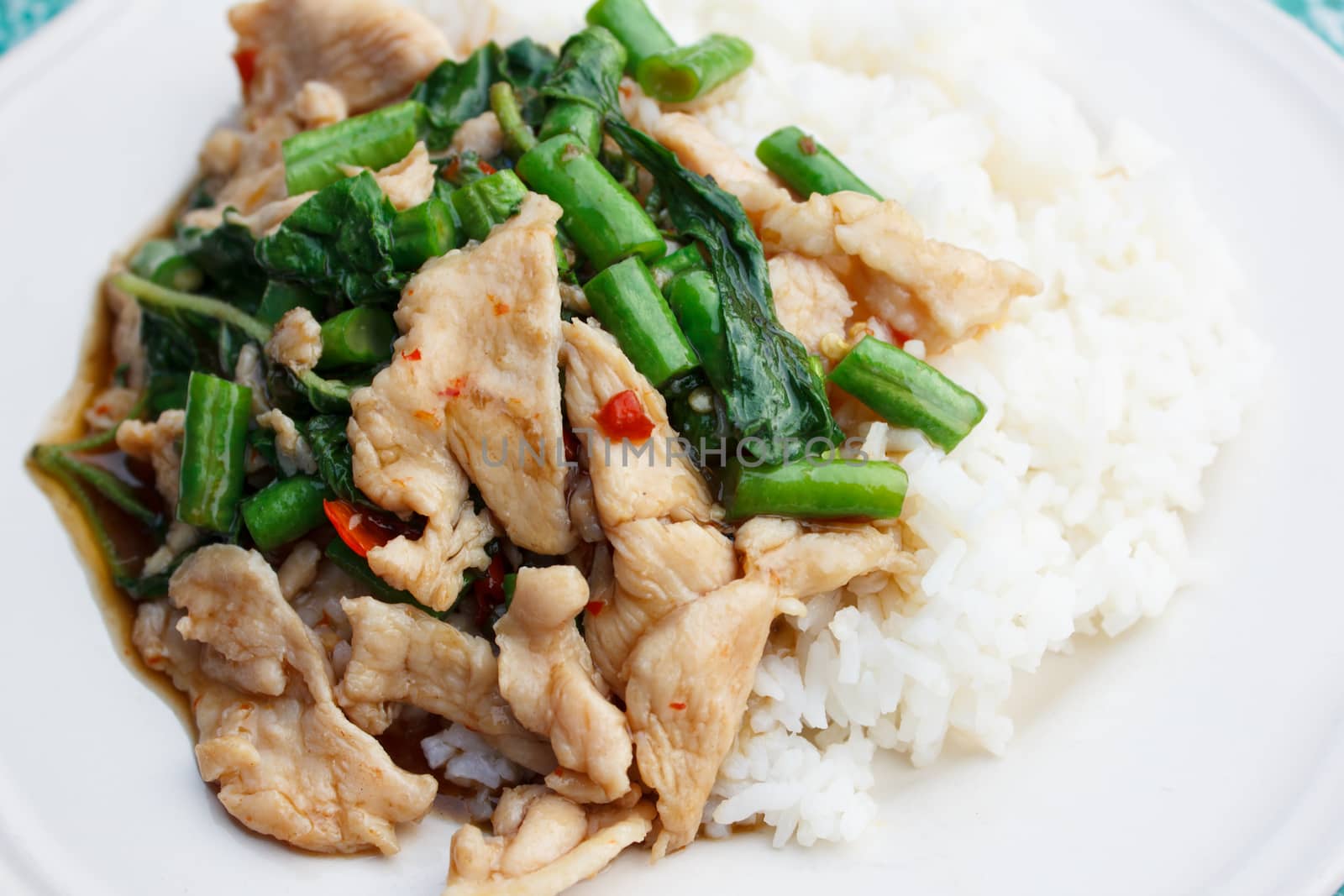 chicken fried in holy basil with yardlong bean on steamed rice  by vitawin