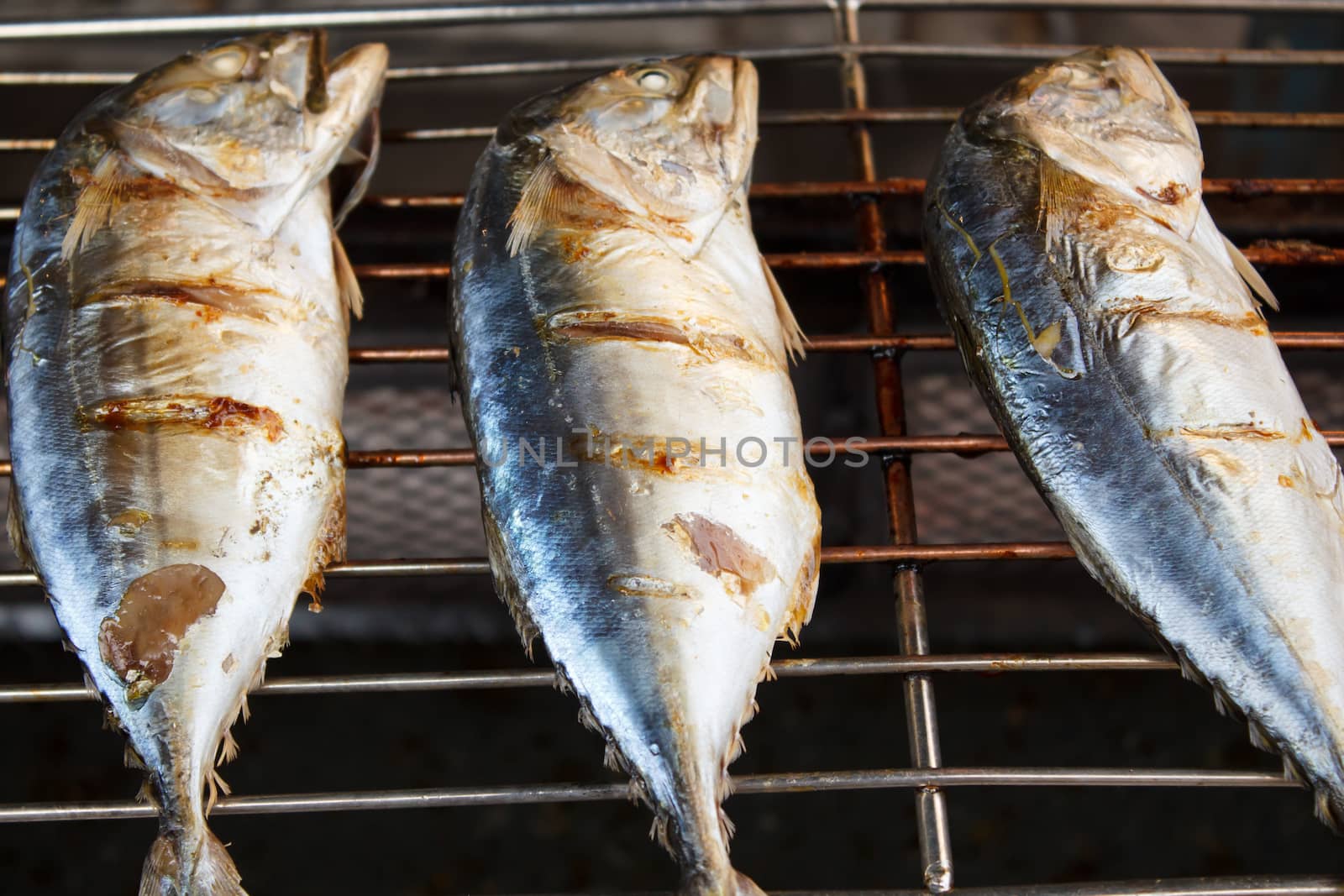 grilled mackerels by vitawin