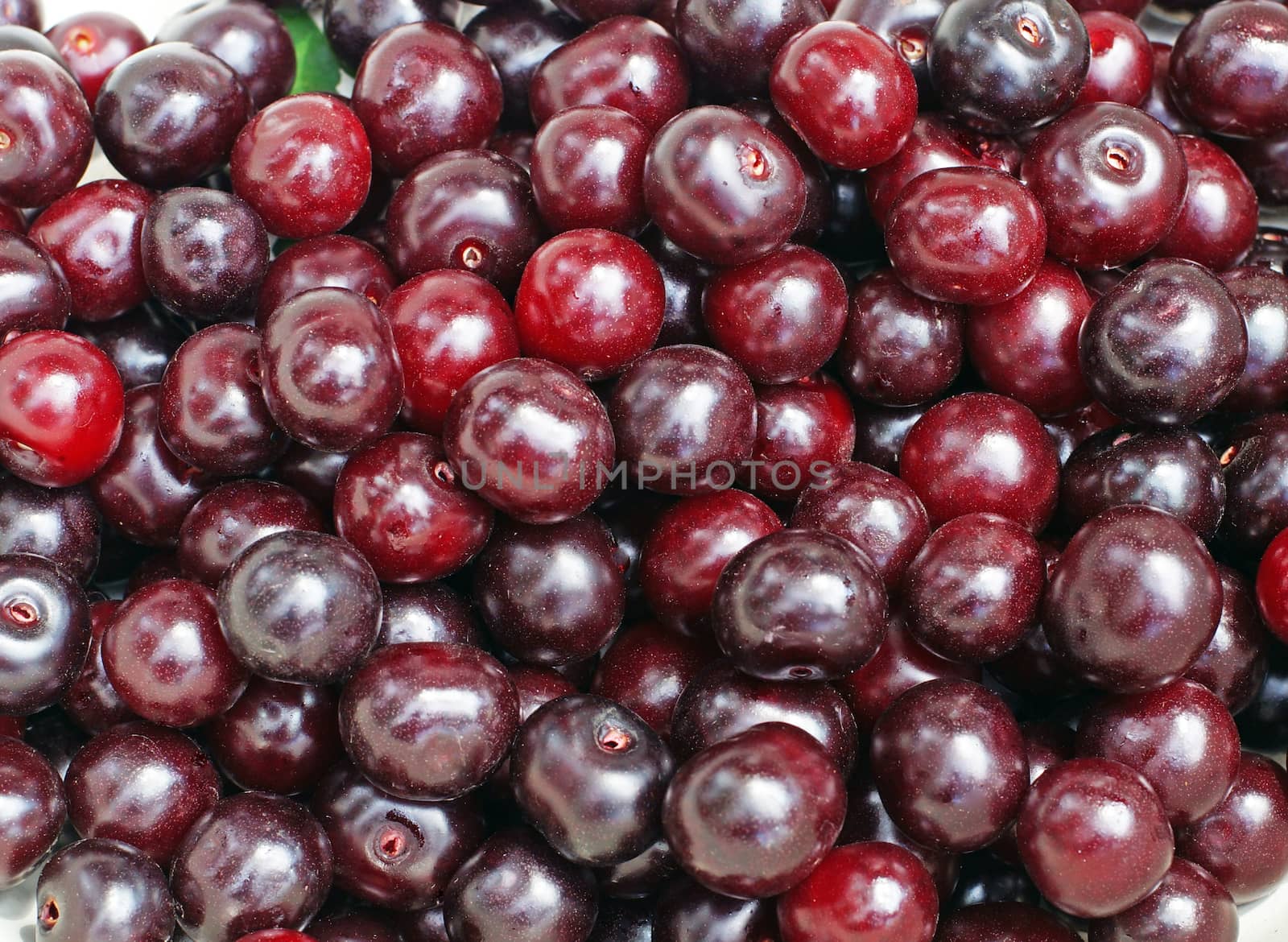 Ripe cherry close up as background                               