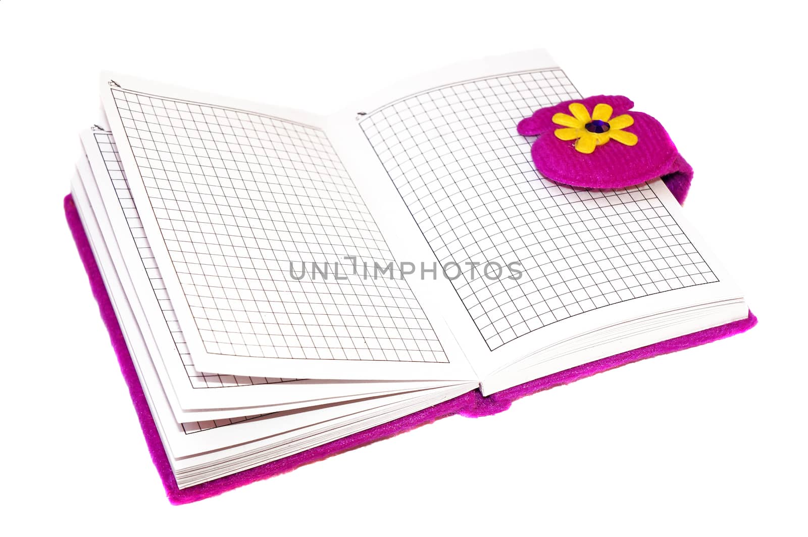 Open notebook in a purple cover on a white background                               