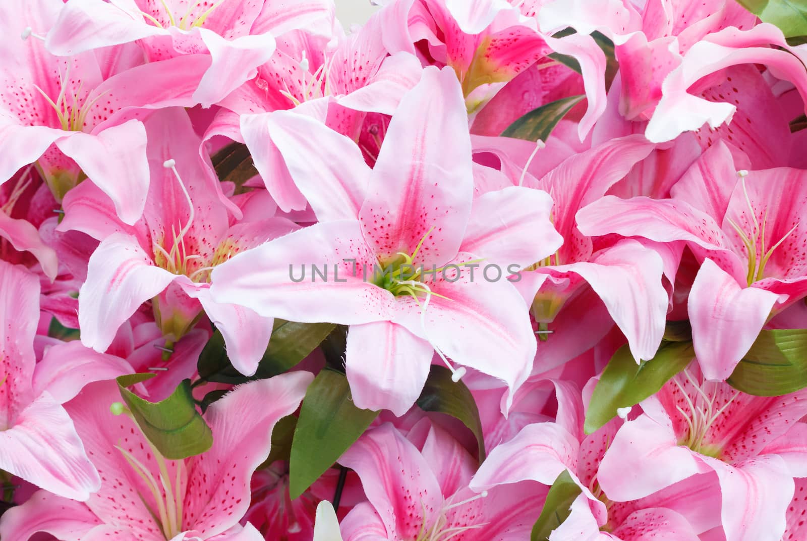 Artificial pink rain lily flowers background by vitawin