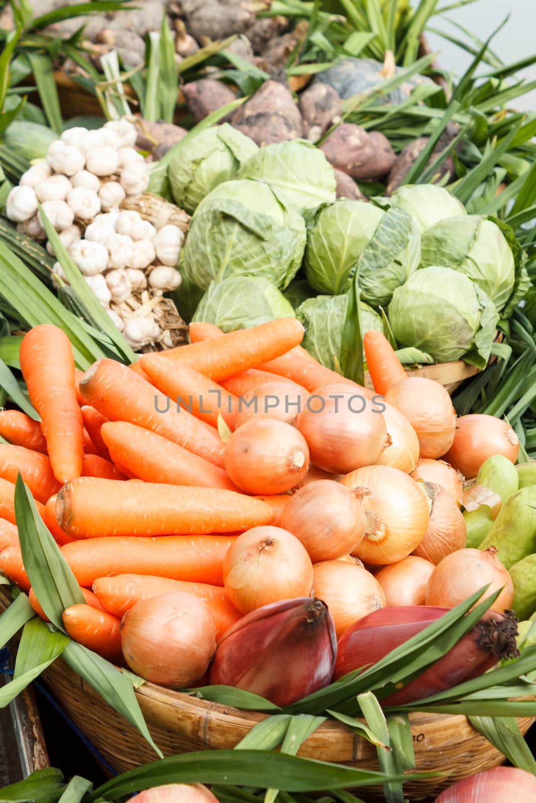 Group of fresh organic vegetables