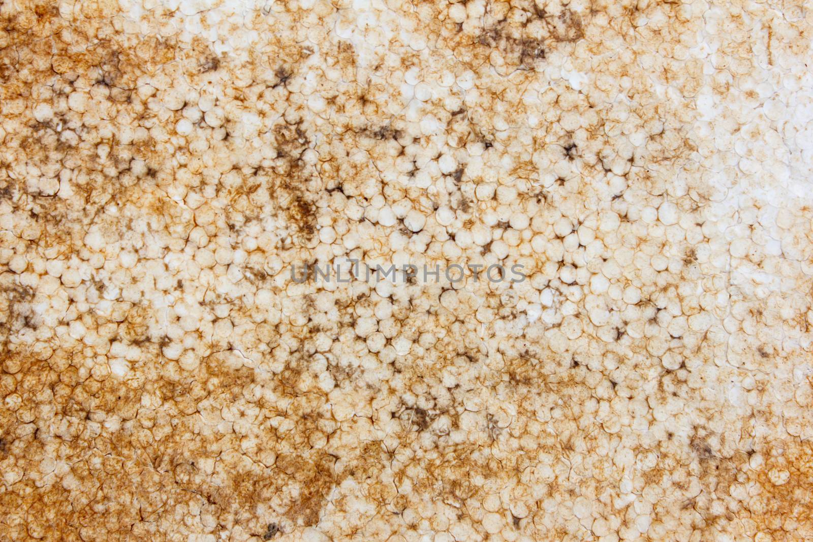 Texture of old polystyrene foam  by vitawin