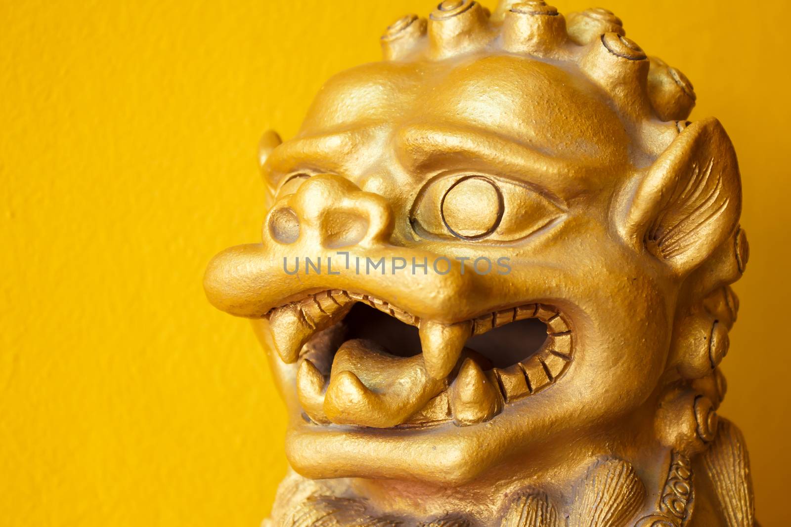 Chinese golden leo statue on white yellow background by vitawin