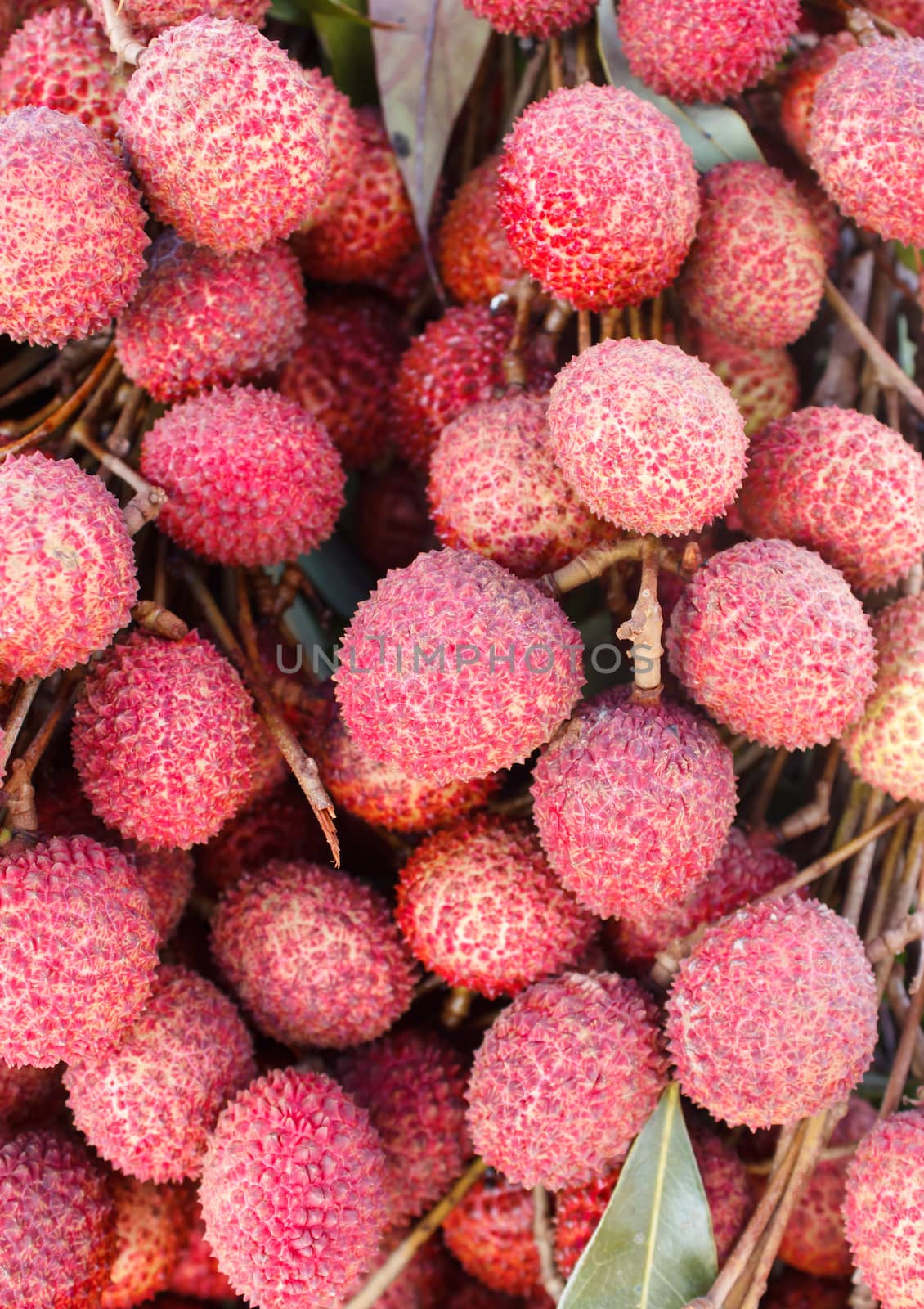 Lychees  fruit (Litchi chinensis) by vitawin