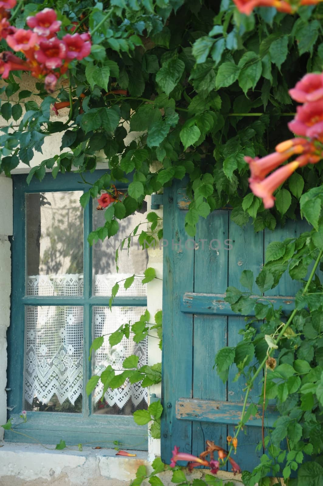 Beautiful window in a french village by NeydtStock