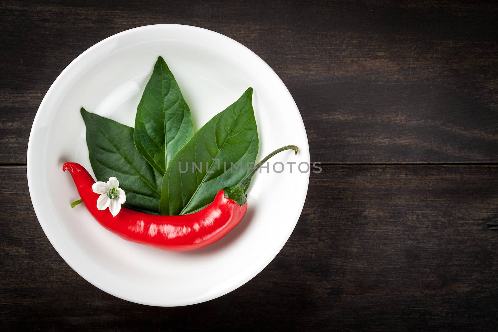Chili pepper with leaves and flower on white plate on table background. Copy space. Top view