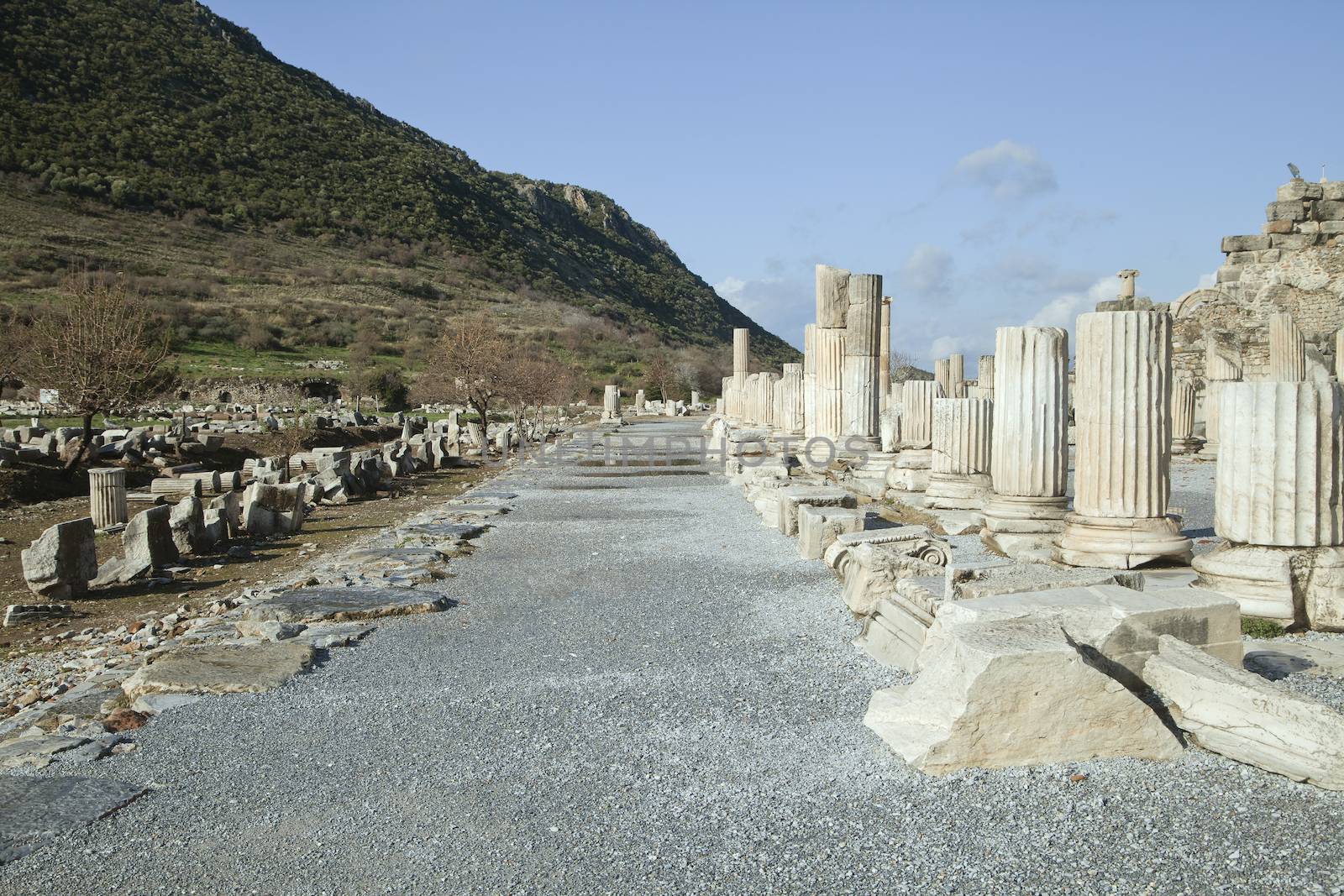 Ancient greek town of Ephesus in Turkey