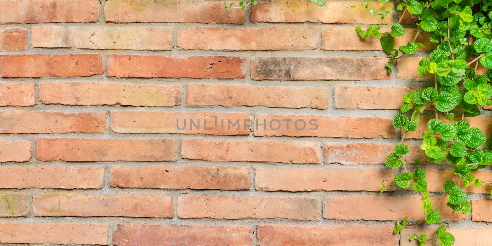 Background of art brick wall texture.