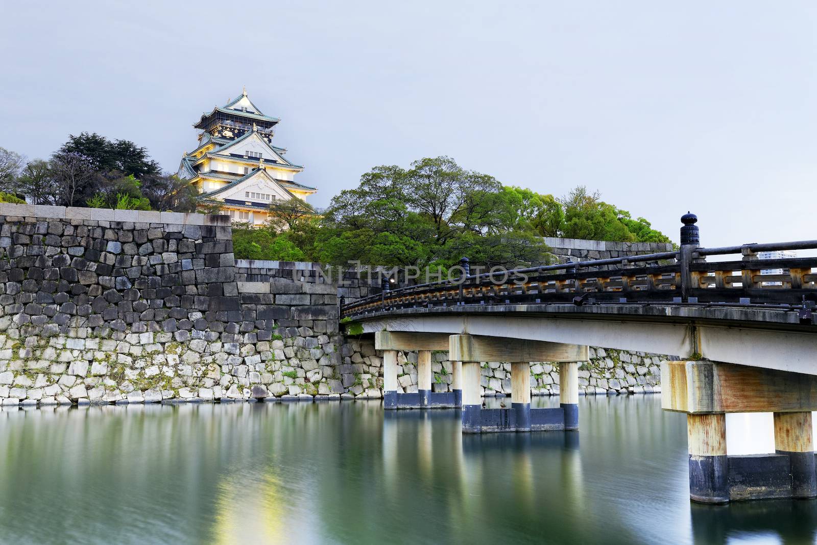Osaka castle by cozyta