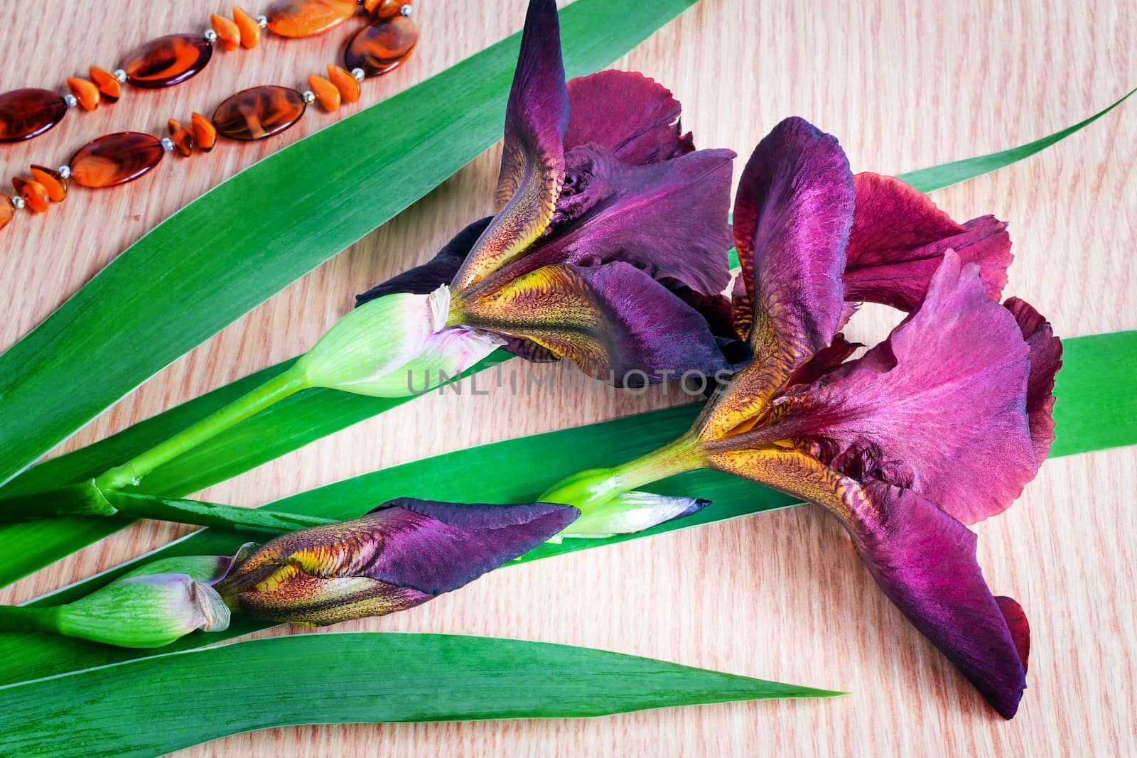 
On a surface of a table big purple irises lie, nearby there is a necklace.