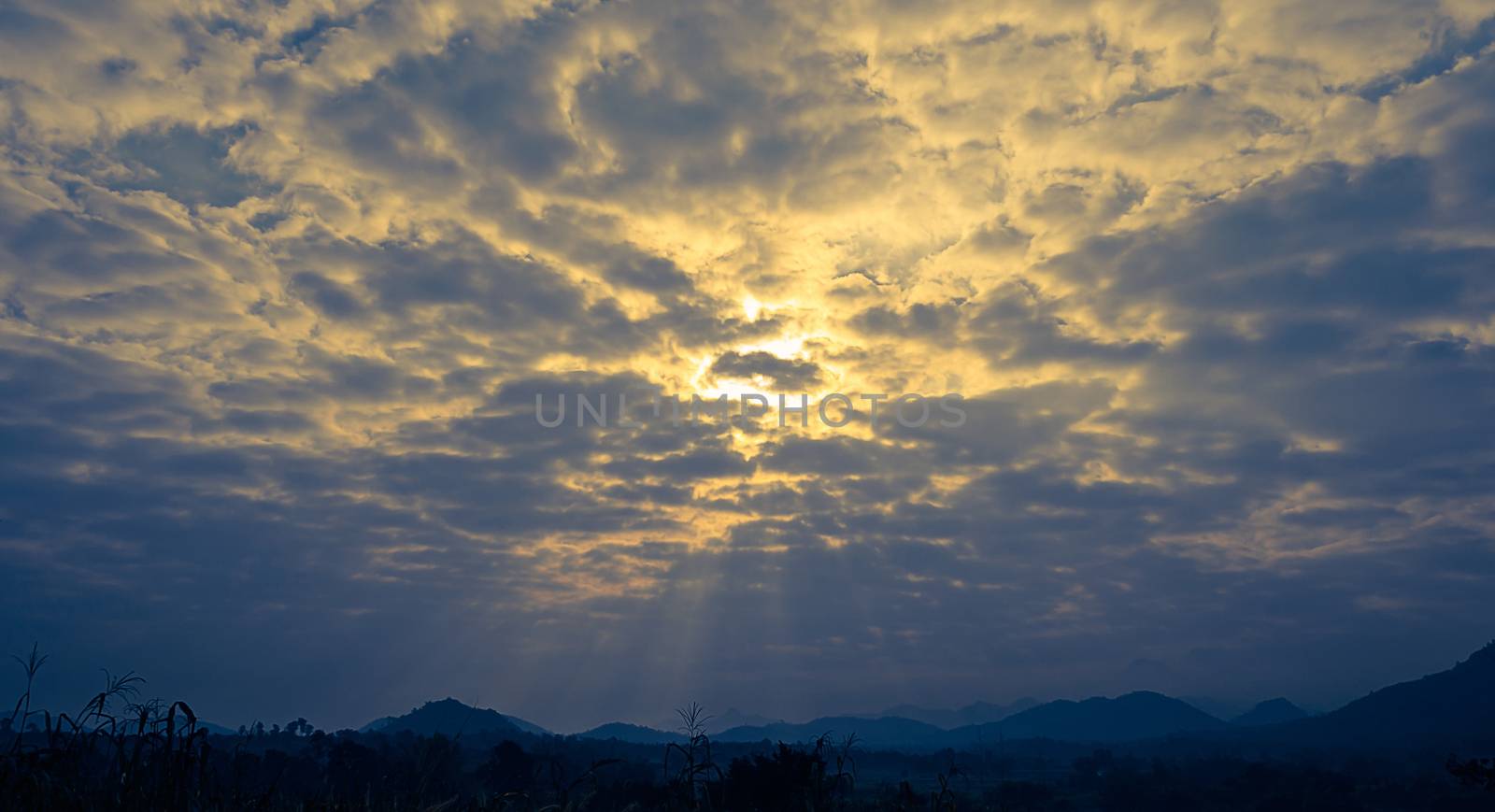 The Sun try to rise with Cloud in Country Field.