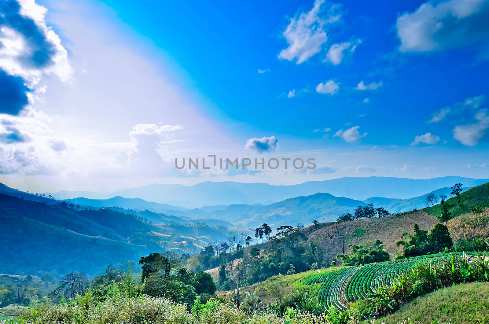 The Landscape with Blue Sky and Green on the Mountain.