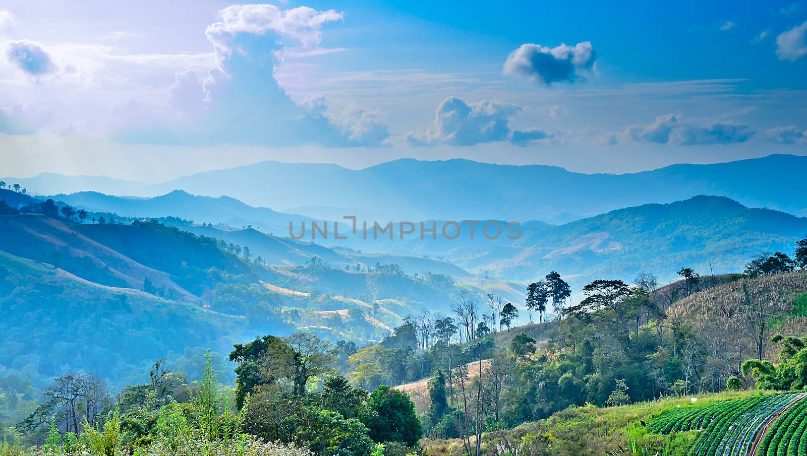 The Landscape with Blue Sky and Green on the Mountain.
