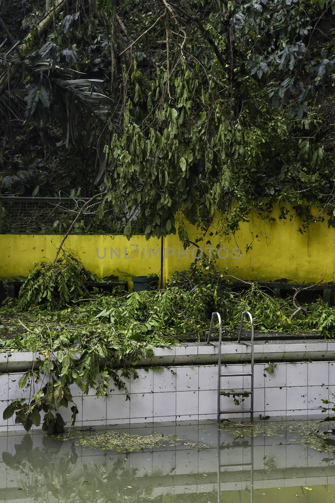 Dirty swimming pool after a strong typhoon