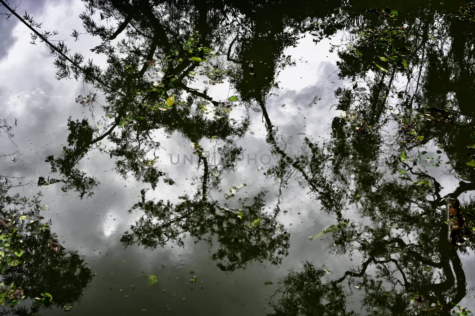 Dirty swimming pool after a strong typhoon