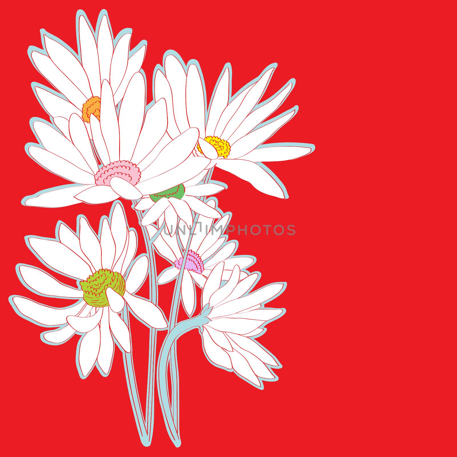 Hand drawn illustration of a greeting card with daisies, sticker over a red background