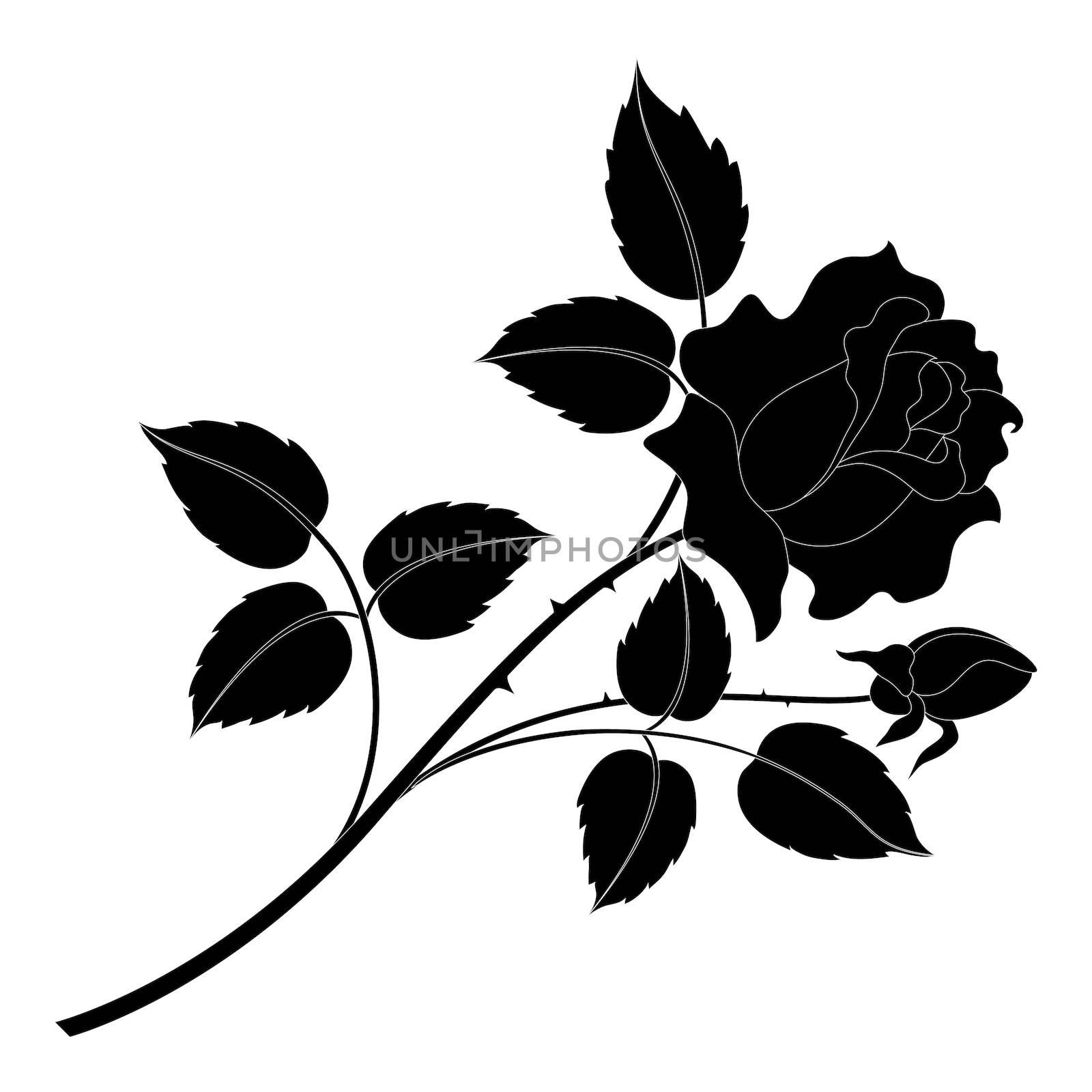 Flower rose, petals and leaves black silhouettes isolated on white background.