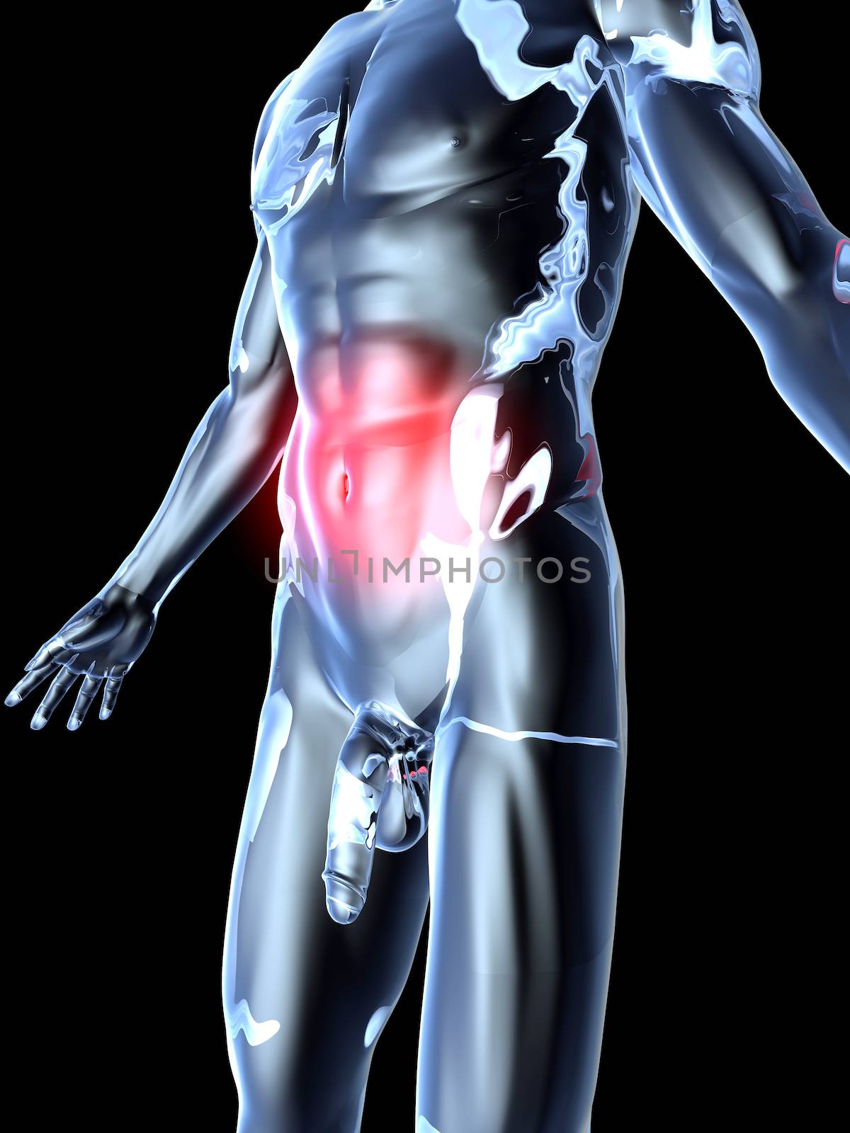 Medical Illustration. 3D rendered Illustration. Isolated on black.