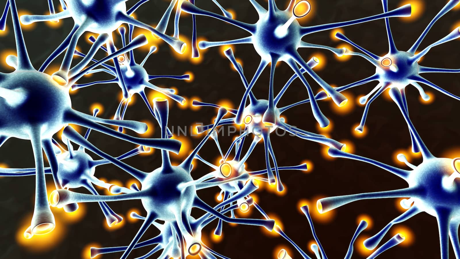 Neuronal Network		 by Spectral